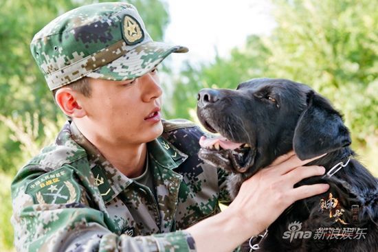 神犬奇兵演員陣容，勵(lì)志力量與變化之美的展現(xiàn)