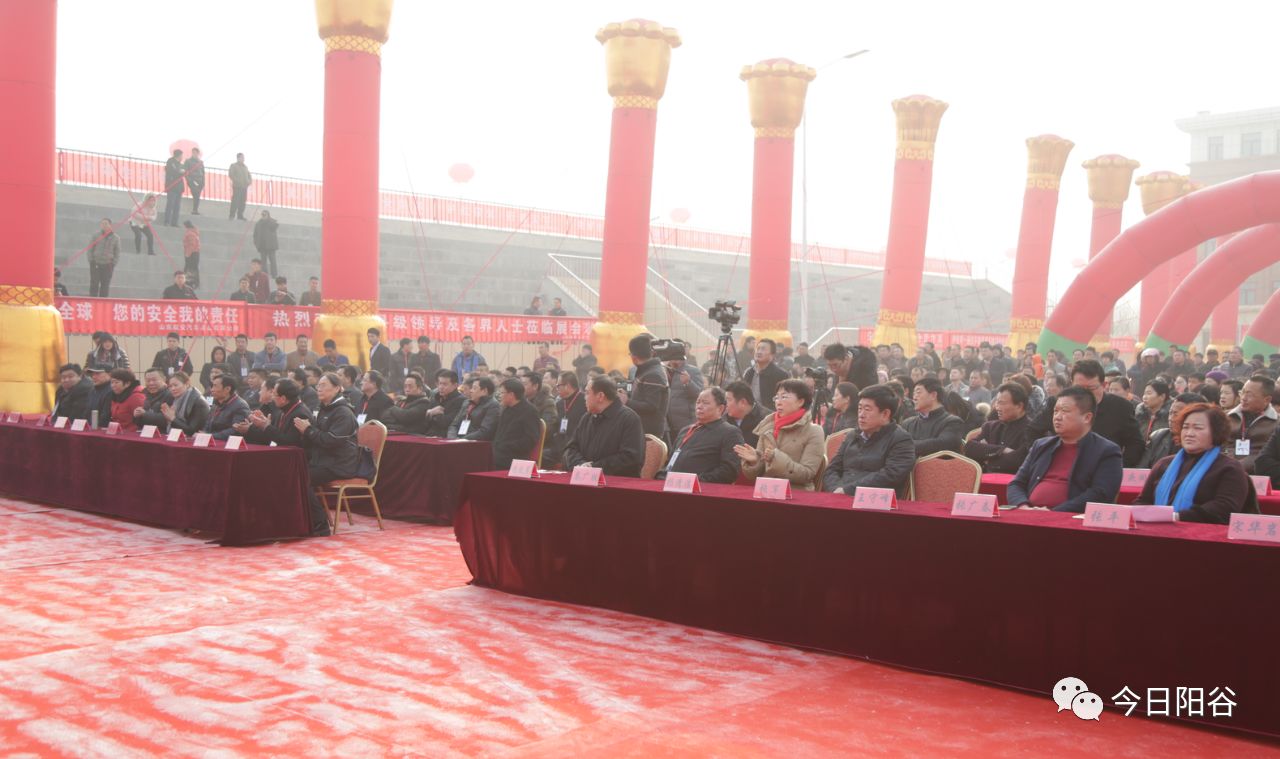 陽谷上市公司，聚焦發(fā)展，展望輝煌未來。