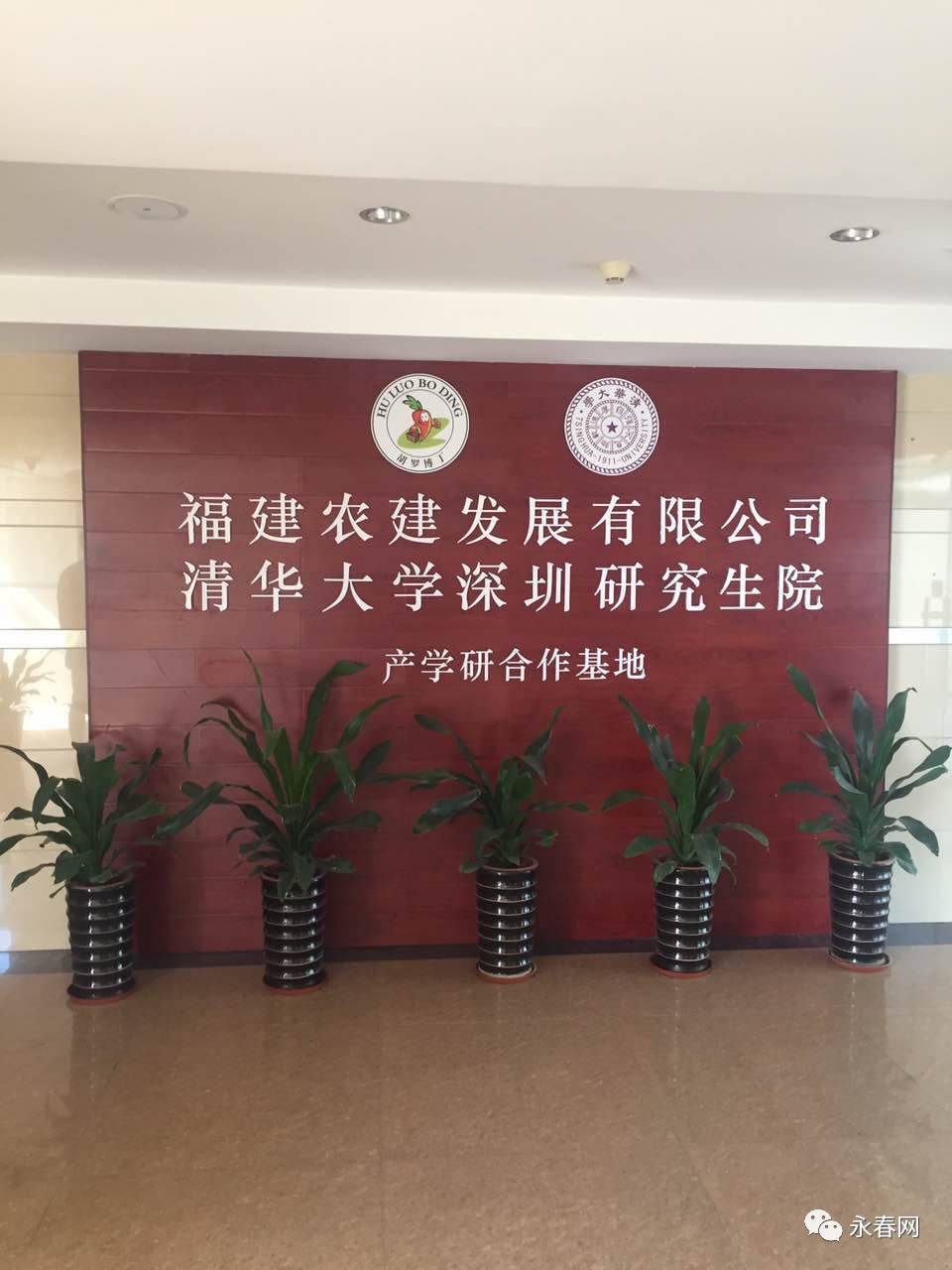 永春最新招聘資訊詳解，觀點論述與立場分析