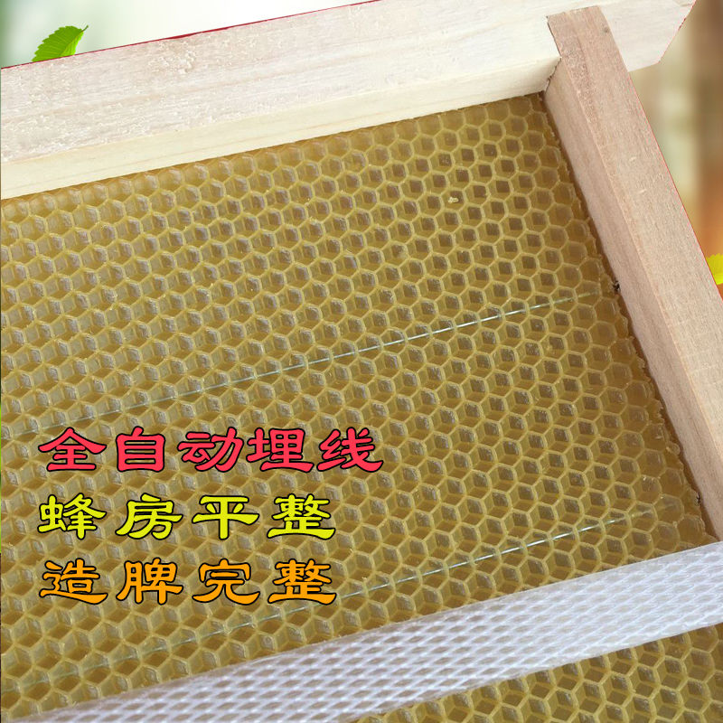 最新巢框，家的溫馨與友情的奇妙交匯