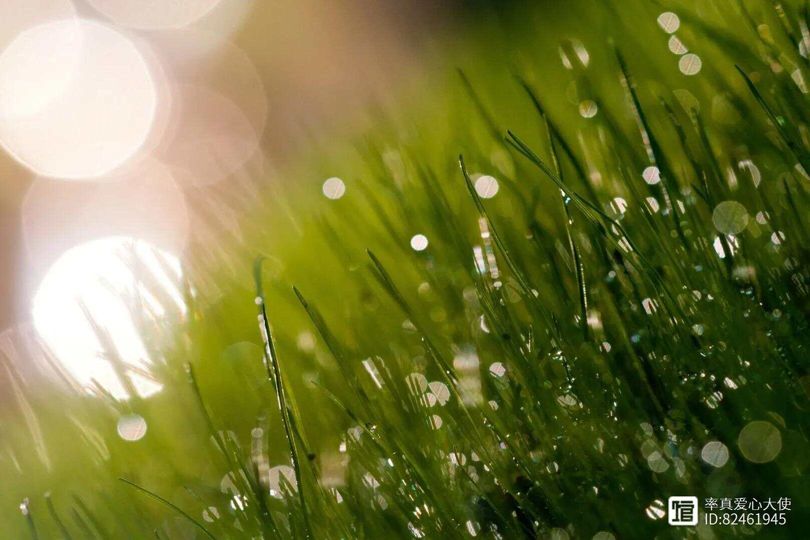 時代背景下的成長印記，小草居士公眾號更新回顧與前瞻