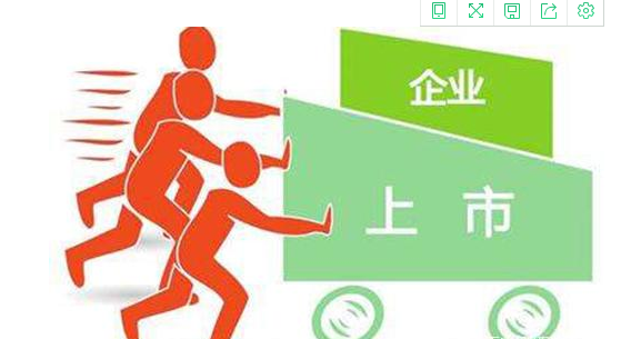 隱世巨擘，未上市的大公司時代