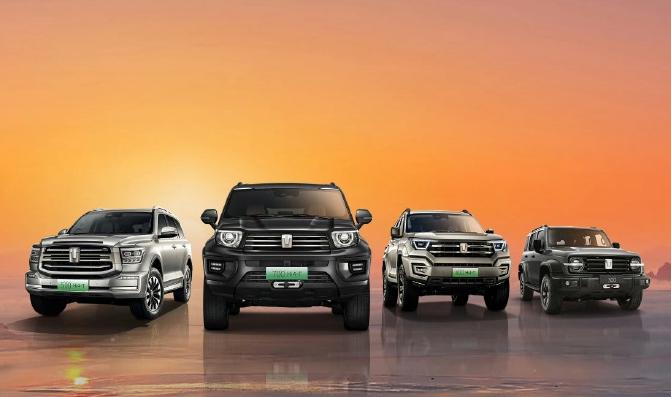 2024新澳一碼一特944,釋意性描述解_夢想版6.787