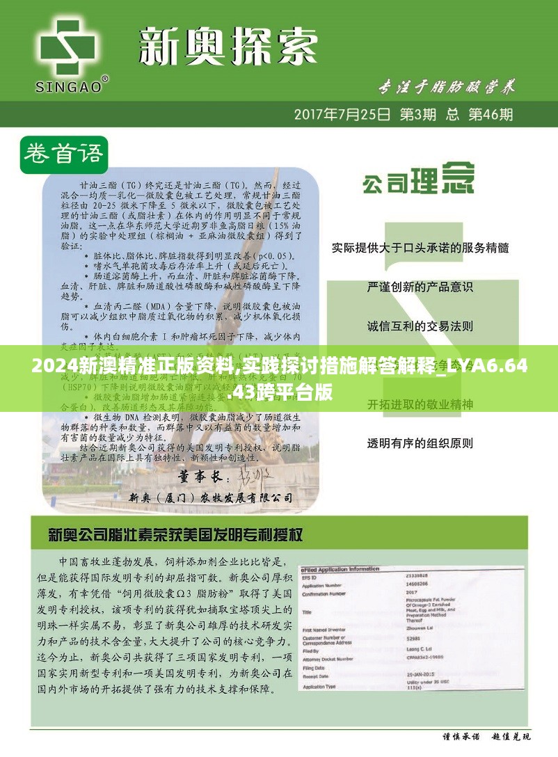 2025年新奧全年資料,精準(zhǔn)分析實(shí)踐_經(jīng)典版7.797