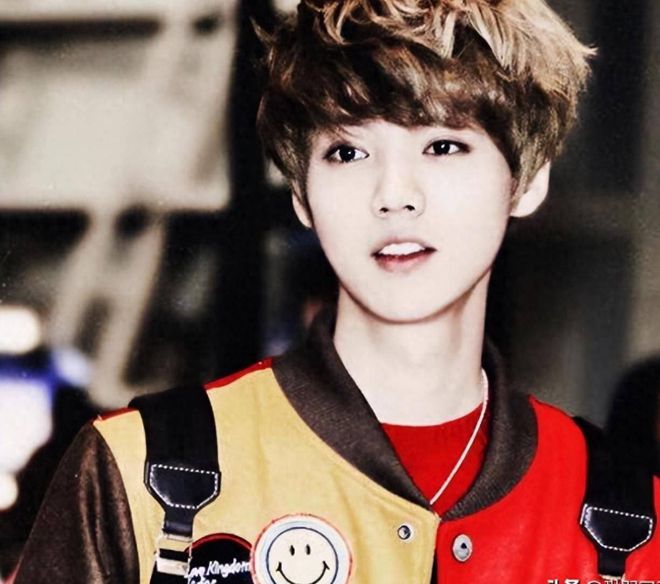 鹿晗近期動態(tài),鹿晗近期動態(tài)，全方位了解與參與指南