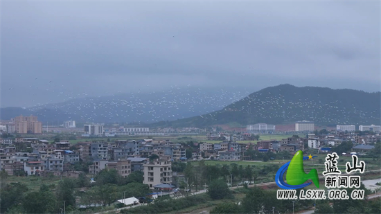 永州藍山最新新聞,永州藍山最新新聞