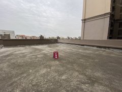 平洲御水岸最新房?jī)r(jià)動(dòng)態(tài)及市場(chǎng)趨勢(shì)，購房指南與實(shí)時(shí)更新房?jī)r(jià)信息