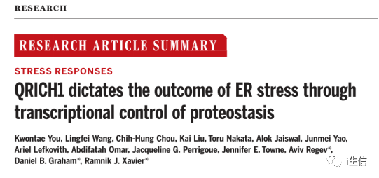 新奧最快最準(zhǔn)免費資料,全面信息解釋定義_精選版61.375