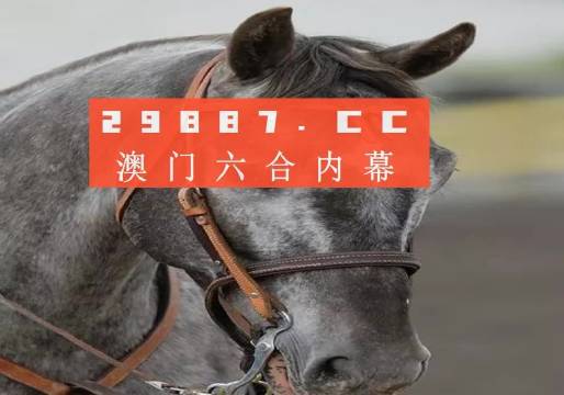 澳門一碼一特一中準(zhǔn)選今晚,穩(wěn)固執(zhí)行戰(zhàn)略分析_無(wú)限版23.850