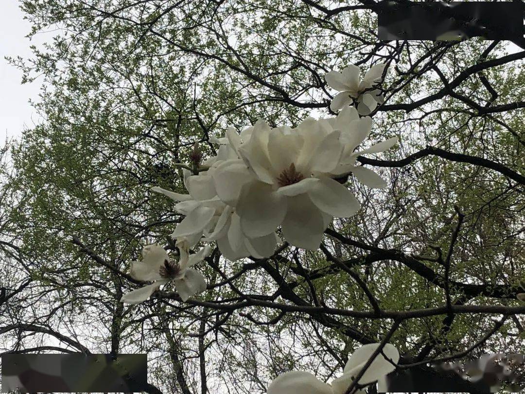 白小姐三肖三期開獎(jiǎng),連貫性方法執(zhí)行評(píng)估_原創(chuàng)性版29.152