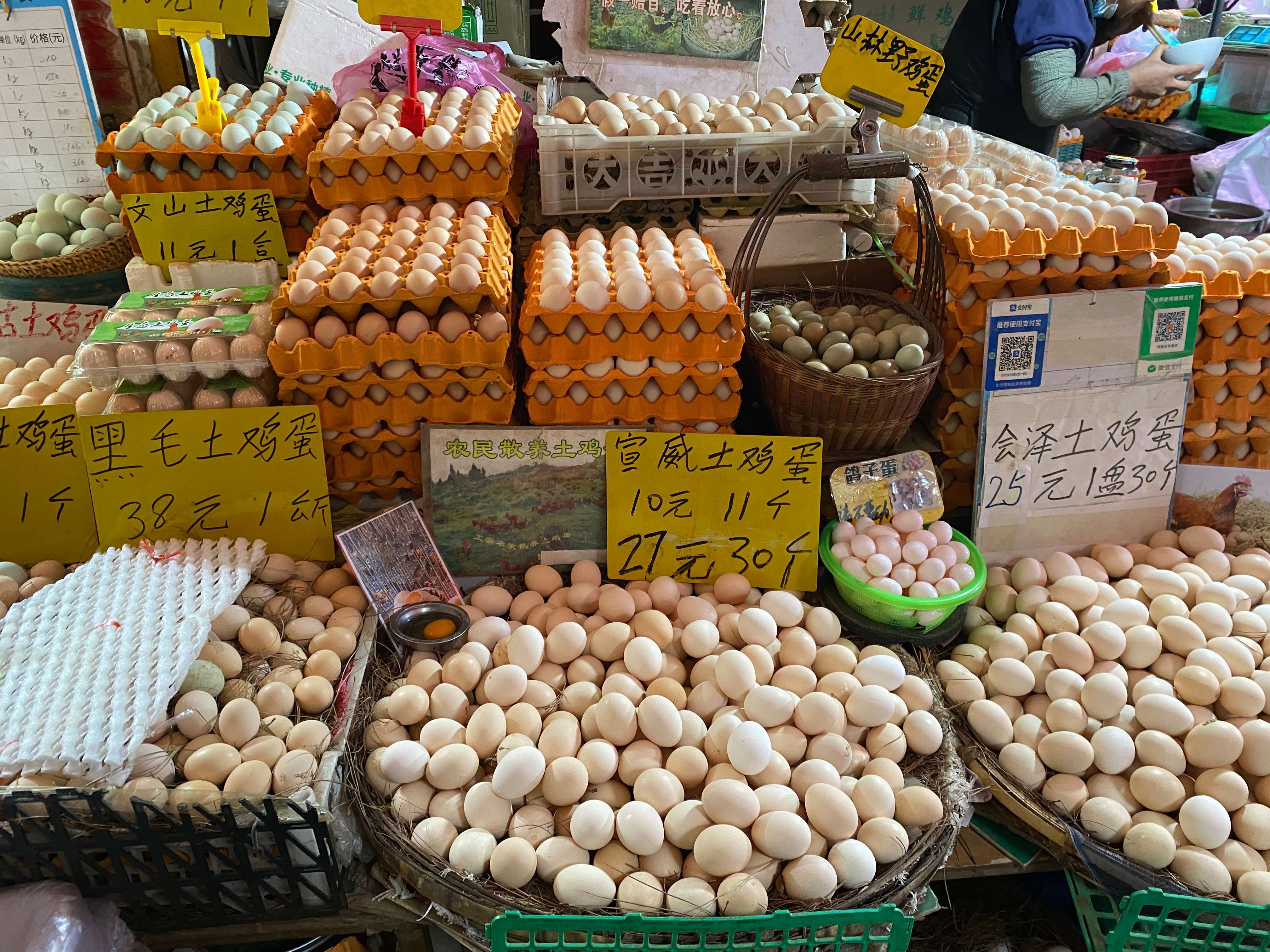 昆明雞蛋行情今日報價及自然美景旅行探索