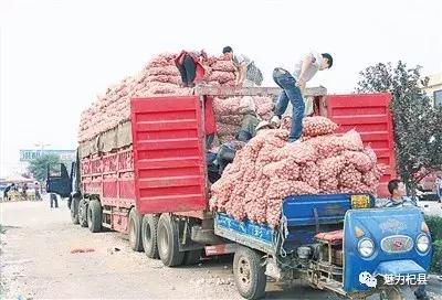 今日大蒜價格最新行情今日價格,今日大蒜價格最新行情今日價格論述