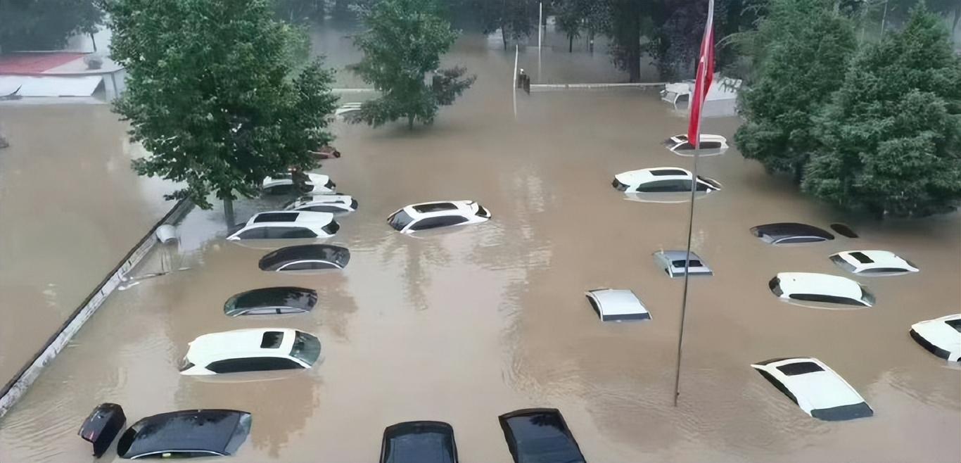 三農(nóng)政策最新動(dòng)態(tài)，助力鄉(xiāng)村振興，共筑美好未來