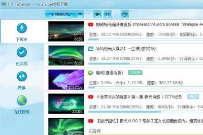 IDM最新發(fā)展及其雙刃劍效應(yīng)論述