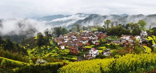 婺源風(fēng)光新覽，探尋自然之美，體驗(yàn)溫馨旅程