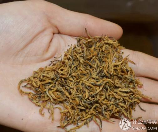 金駿眉上市，自然美景之旅的邀請啟幕