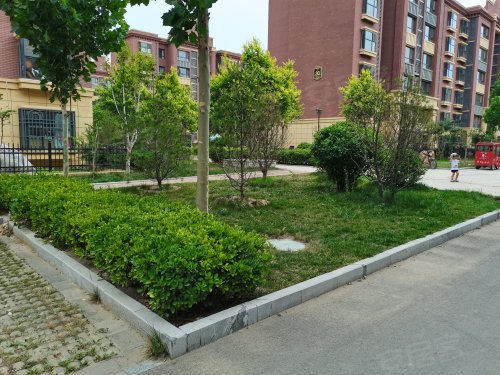 陽谷鳳棲灣近期房價揭秘，小巷中的驚喜與獨(dú)特風(fēng)情探索