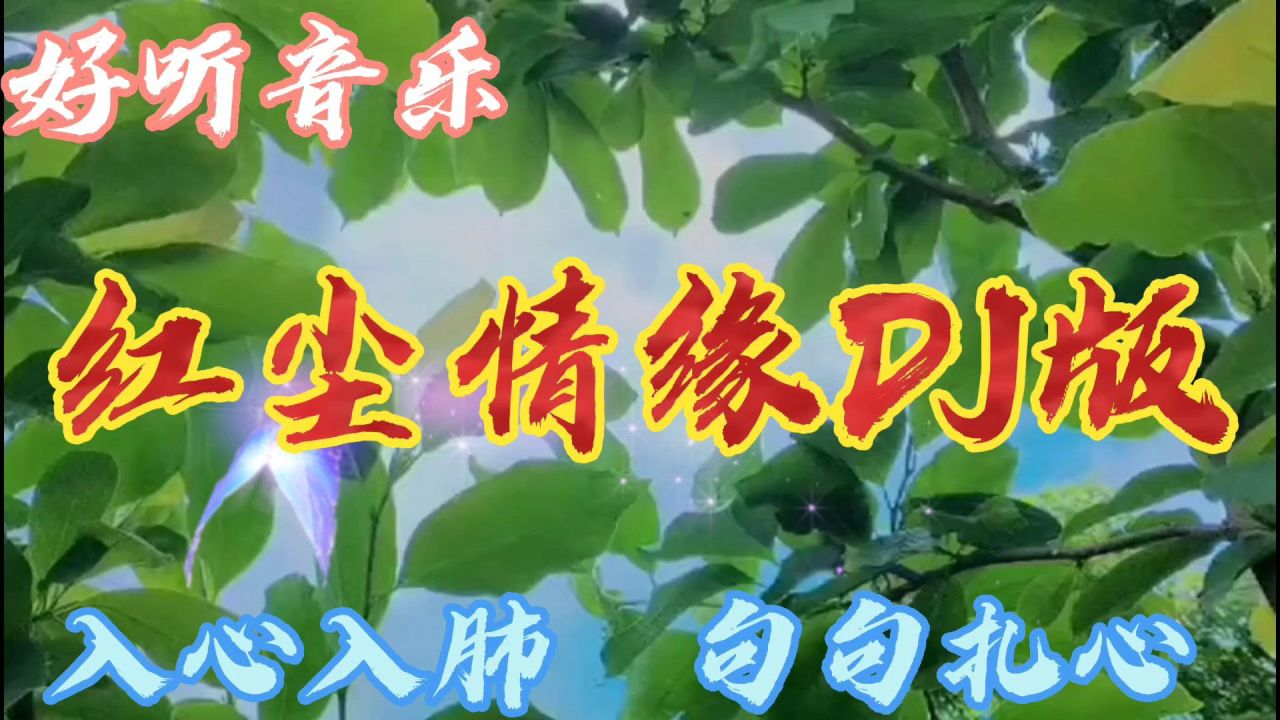 紅塵情韻DJ精選的步驟指南與魅力展現(xiàn)