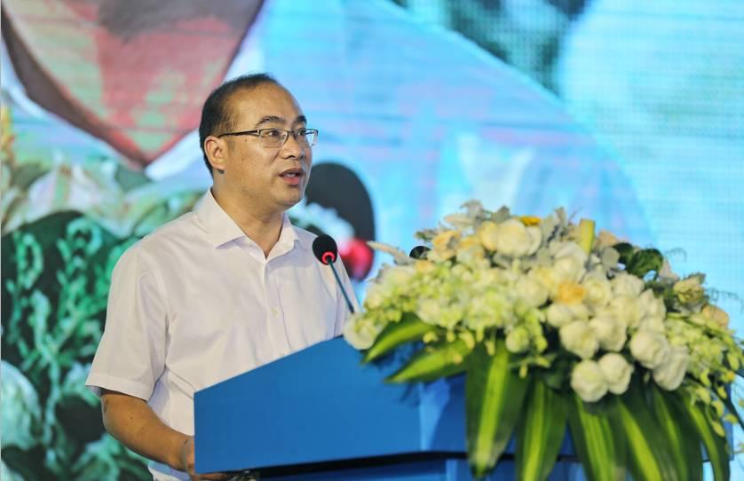 旅游項(xiàng)目上市，探索小巷深處的獨(dú)特之旅，發(fā)現(xiàn)隱藏的特色小店。