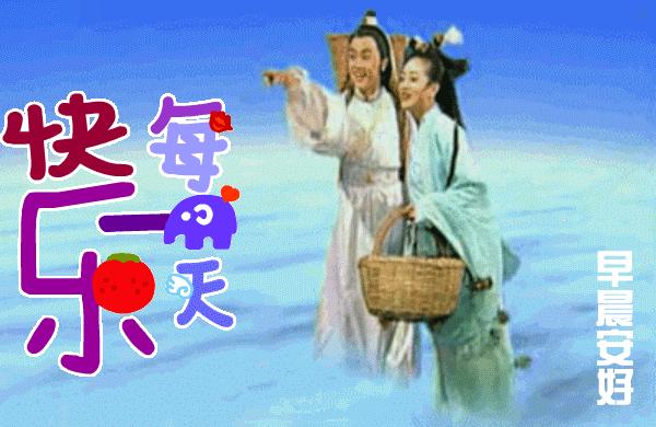 最新動態(tài)，深度論述某某觀點