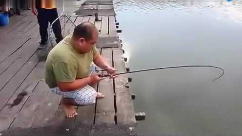 科技釣魚新體驗(yàn)，最新釣大魚視頻合集欣賞