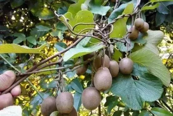 商場上市背后的故事，學習、變革與自信的舞臺展現(xiàn)