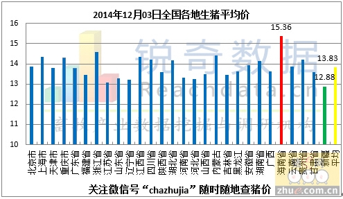 大連市生豬價格行情揭秘，與自然美景的旅行對話體驗