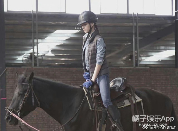 演員蛇拳，背景、歷程與地位的綜合探討