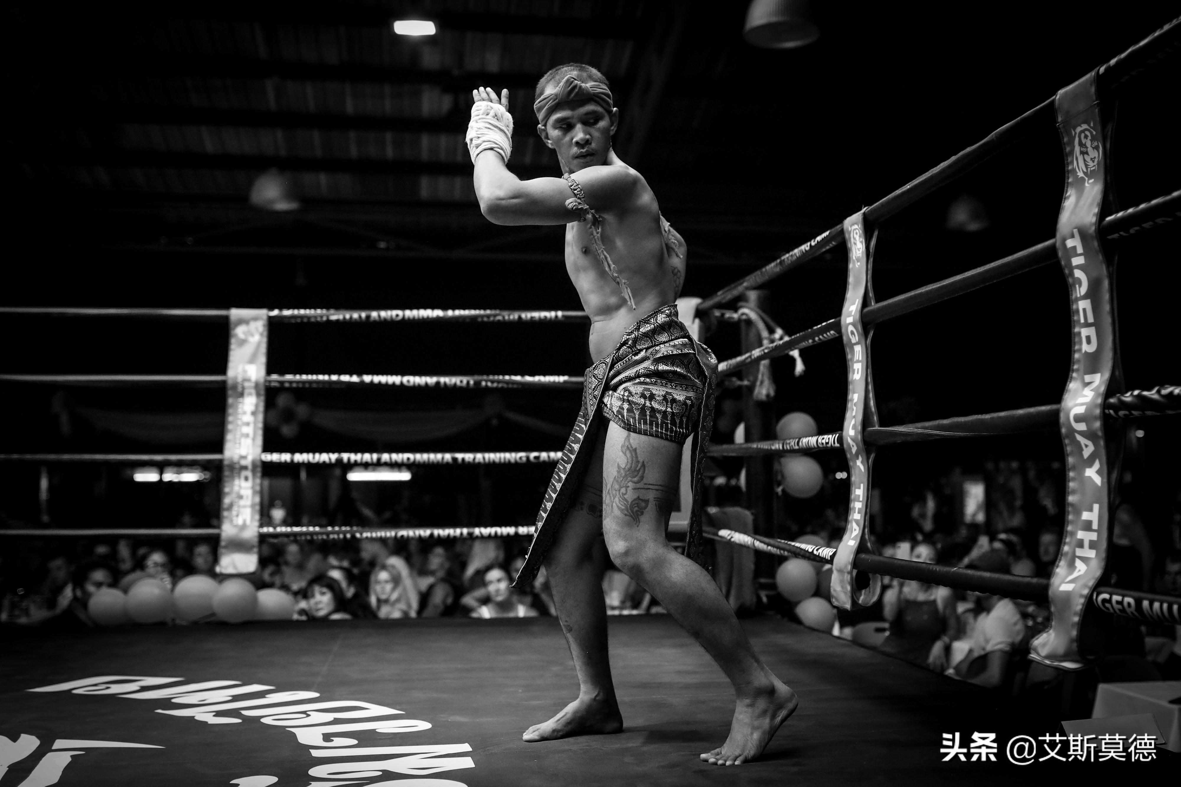 科技重塑拳壇風采，太拳比賽展望競技新時代