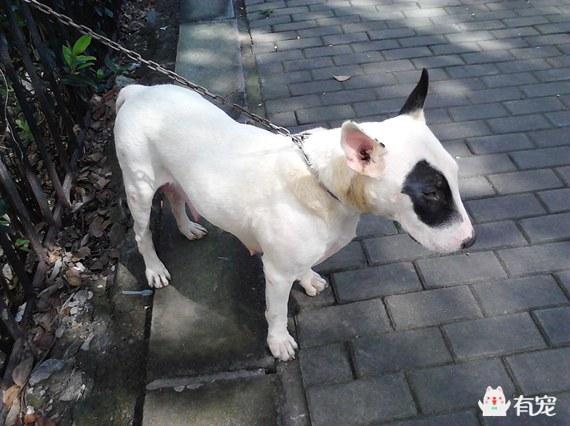 耳朵大的明星遇上科技新寵，智能穿戴式聽力增強(qiáng)器風(fēng)潮來襲！