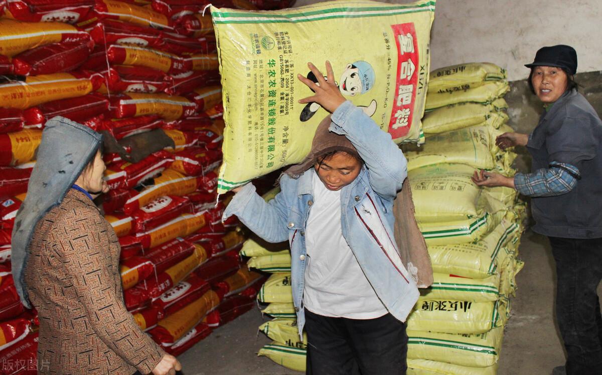 國際尿素價格最新動態(tài)更新