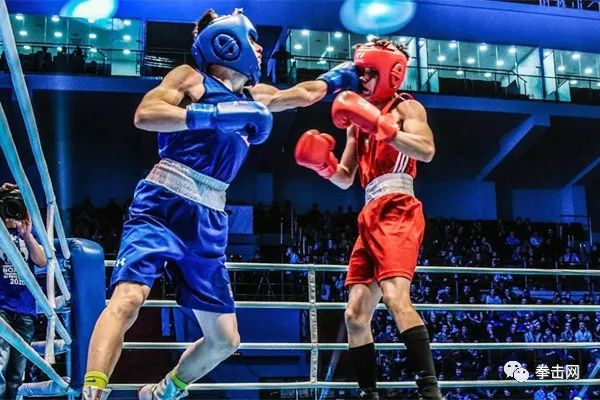 拳擊比賽的榮耀象征，珍貴獎品一覽