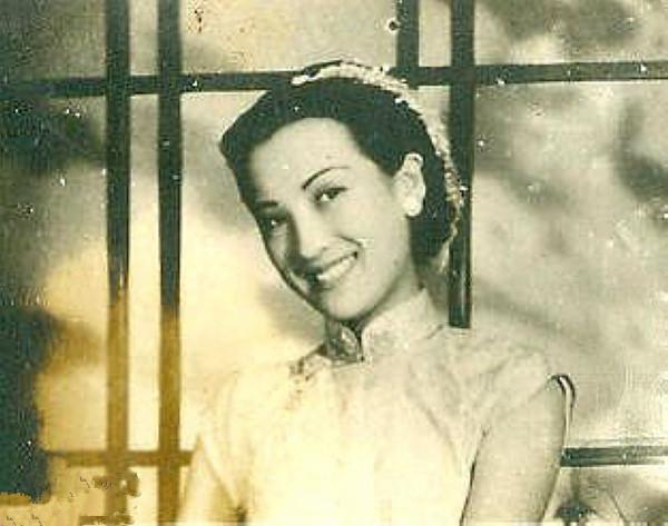 探索電影世界的入門指南，經(jīng)典電影概覽