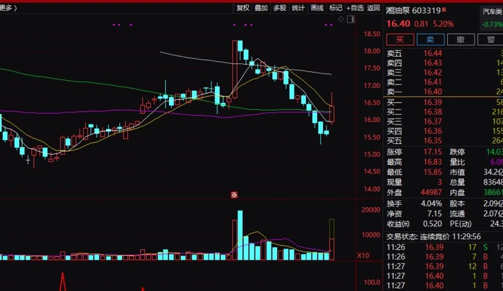 600960股票行情深度解析與步驟指南