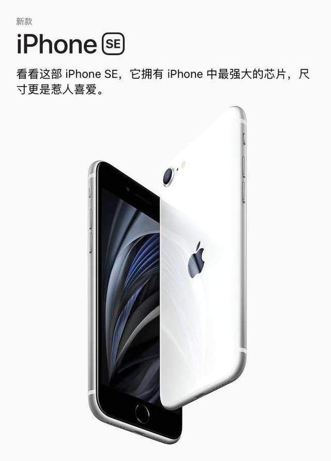 Sequ123最新平臺，日常趣事概覽