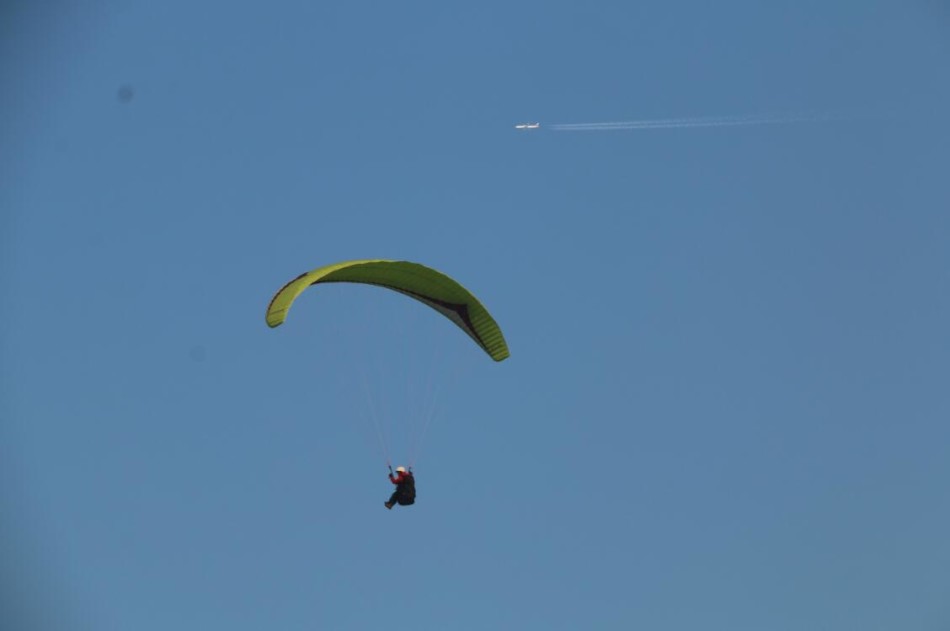 中遠(yuǎn)威最新動態(tài)更新，公司最新進(jìn)展與資訊速遞