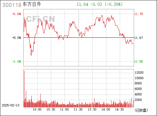 300118東方日升股票,300118東方日升股票——探究其潛力與價值