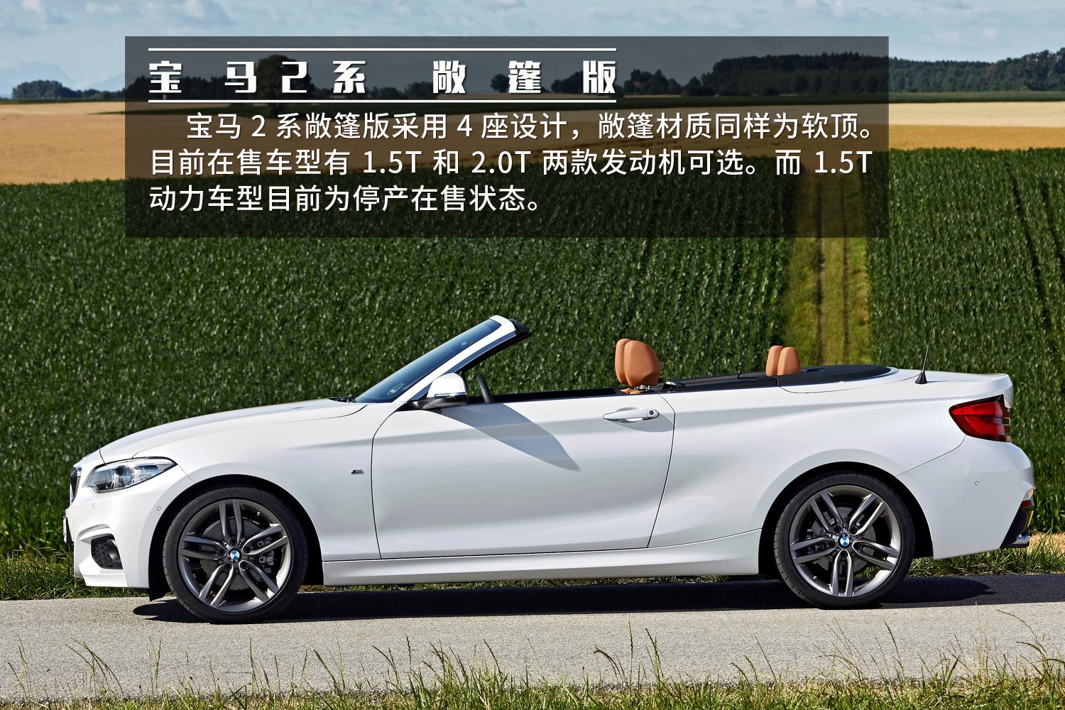 最新寶馬敞篷車型深度解析