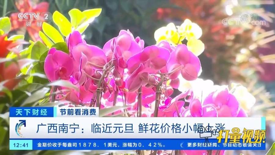 鮮花行情探秘，小巷繁花背后的市場奧秘
