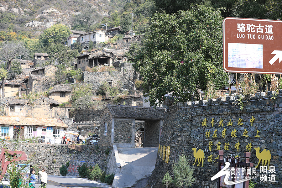 曲寨村最新新聞報(bào)道