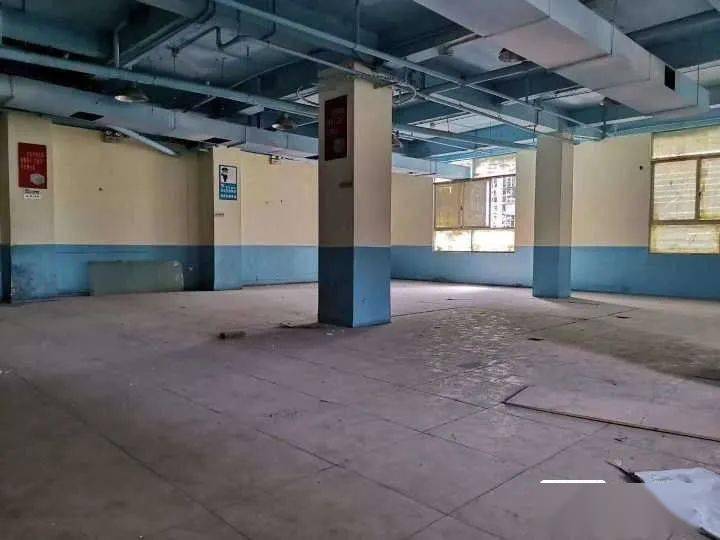 武平最新二手房發(fā)布,武平最新二手房發(fā)布，探索自然美景的旅行，尋找內(nèi)心的平和