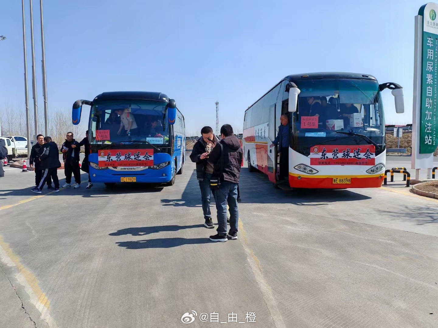 魯驢挑戰(zhàn)大巴最新動態(tài)，一路前行，自信閃耀