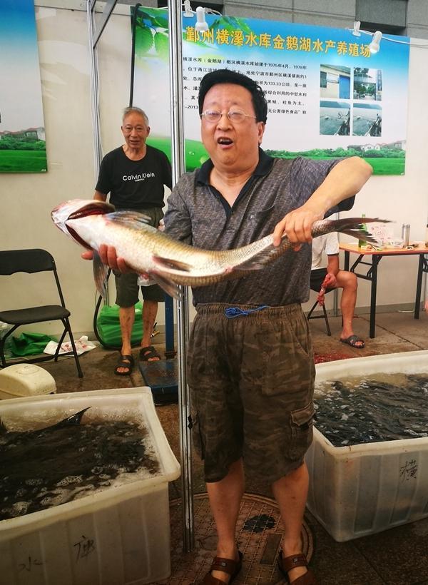 最新青蟹批發(fā)價格行情詳解，指南與動態(tài)分析