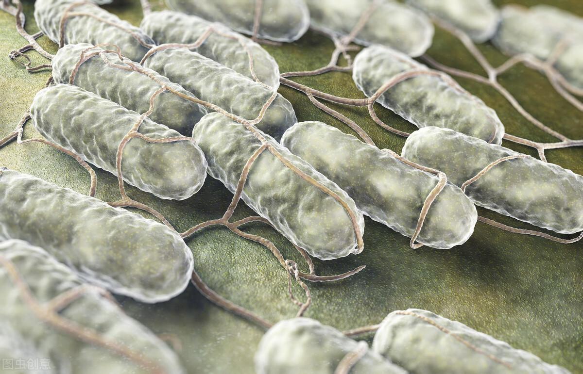 美國最新疫情實(shí)時更新概況