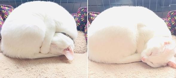 碰超最新現(xiàn)象，多維解讀與探討