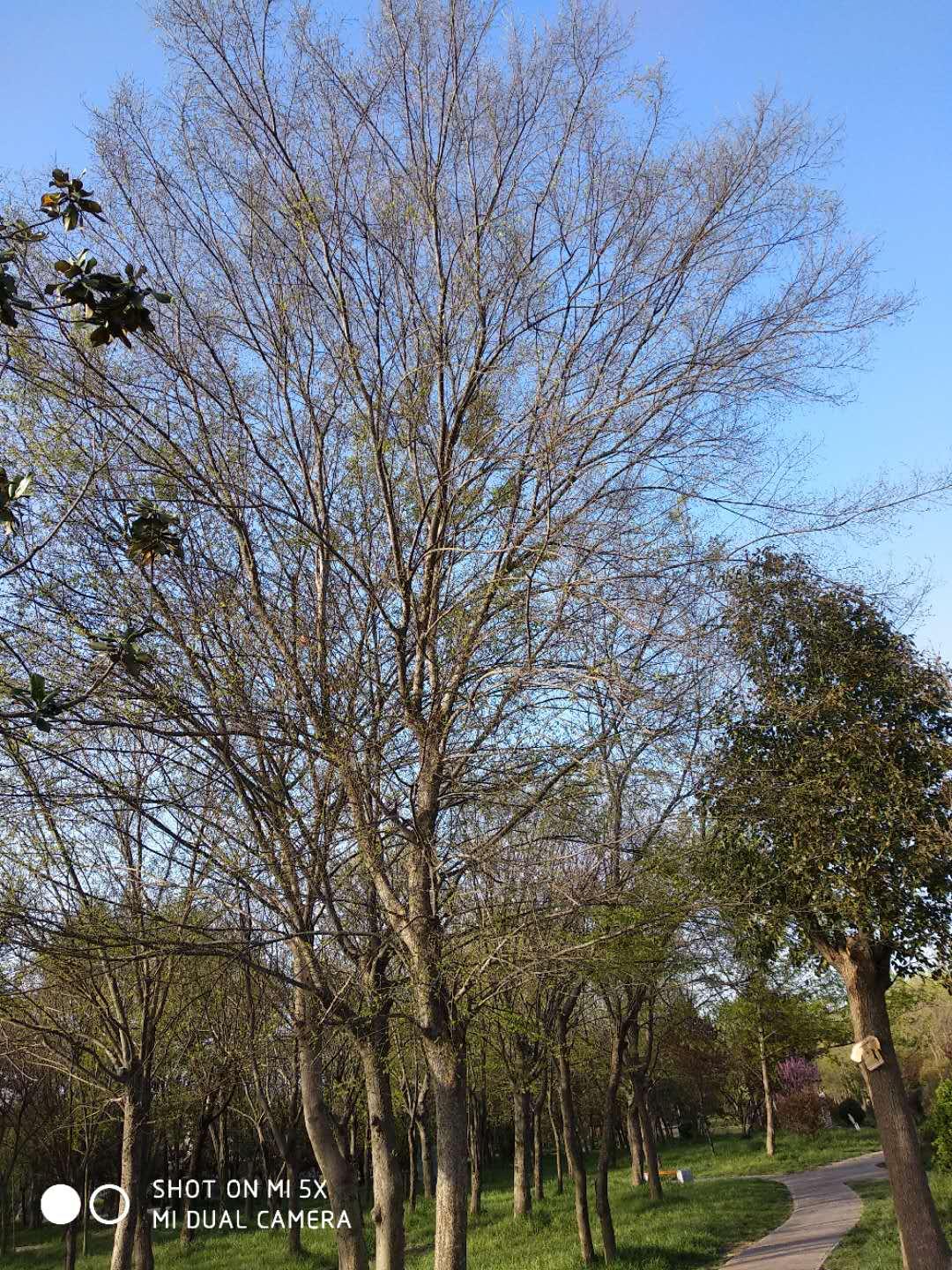 江蘇沭陽賢官最新資訊揭秘，背景、進(jìn)展與影響概述