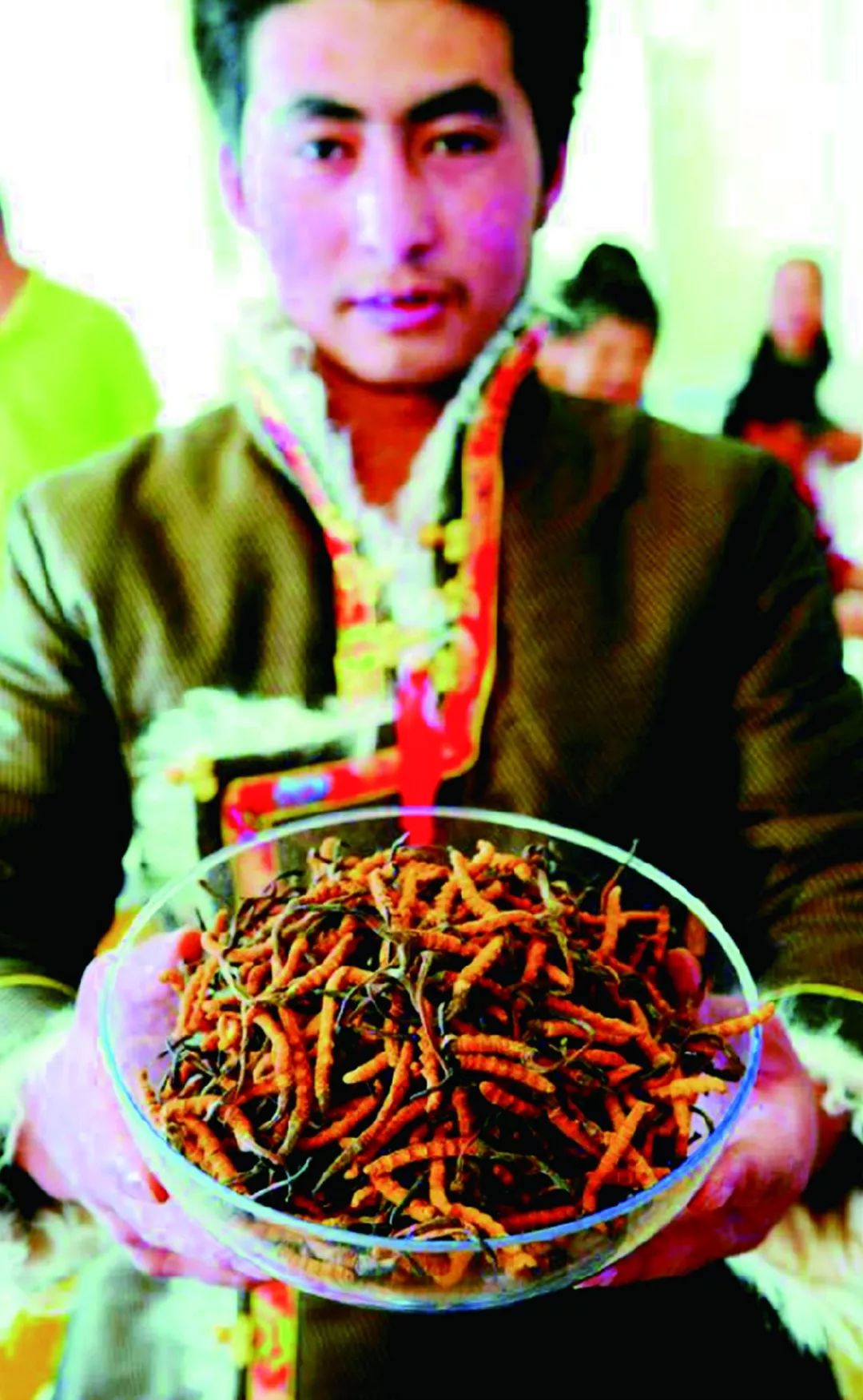 那曲蟲草資訊，學(xué)習(xí)變化，自信與成就感的源泉