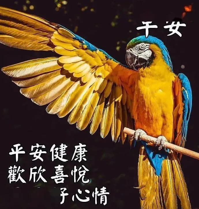 電影通2午夜神馬,電影通2午夜神馬，小巷深處的神秘影院