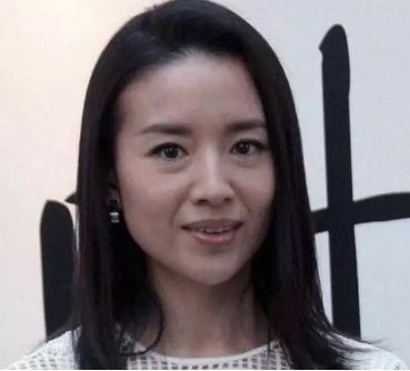 董潔最新活動(dòng)圖片及獲取指南