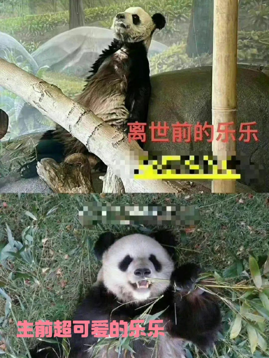 美國繁榮與發(fā)展，科技與經(jīng)濟的最新融合之道